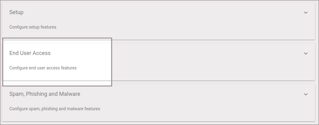 Enduseraccess main googleworkspace.png