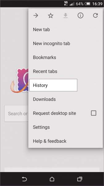 Vaizdas:Android Chrome2.png
