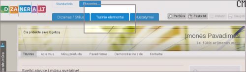 01 papildomas turinys.png