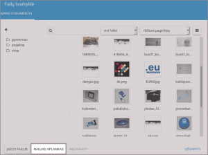 Dizaineriai Dokumentai Aplankas.png