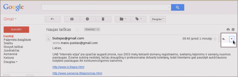Vaizdas:Gmail antrastes 01.png