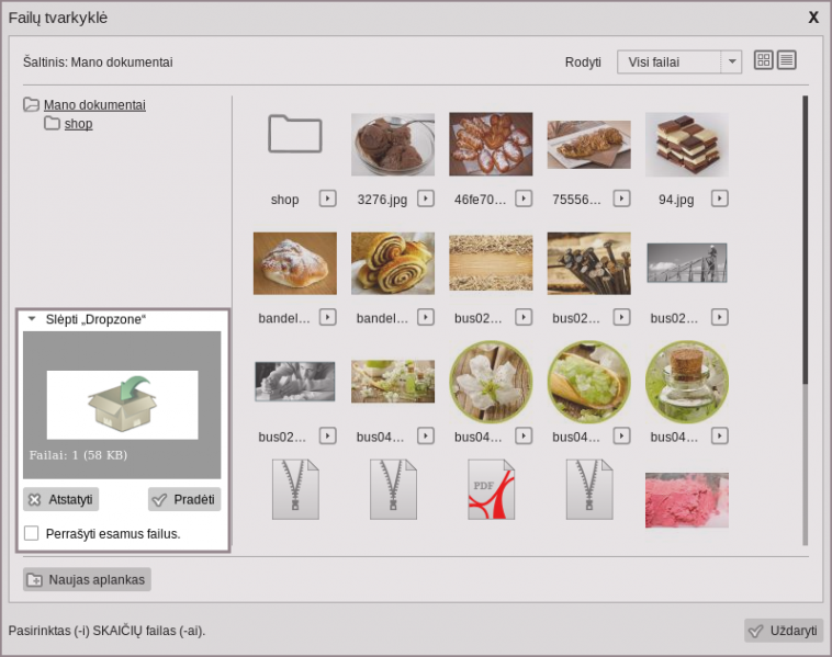 Vaizdas:Dizaineriai Dokumentai Dropzone2.png