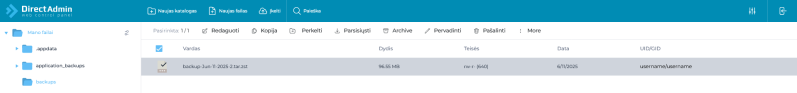 Vaizdas:Naujas DirectAdmin -backups-parsisiusti.png