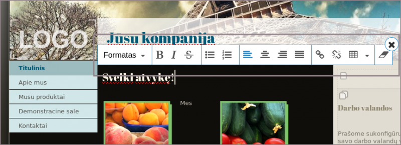 Vaizdas:Diz Turinys1.png