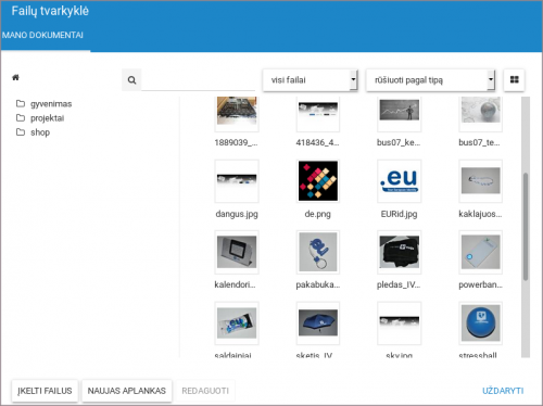 Dizaineriai Failu tvarkykle2.png