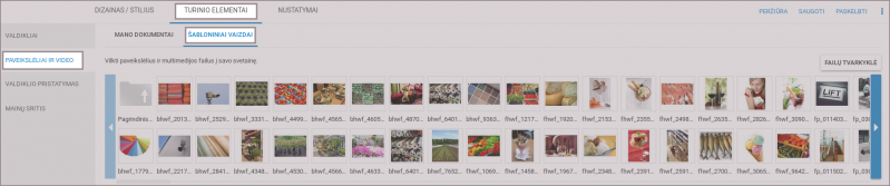 Vaizdas:Patarimai Paveiksleliu archyvas.png